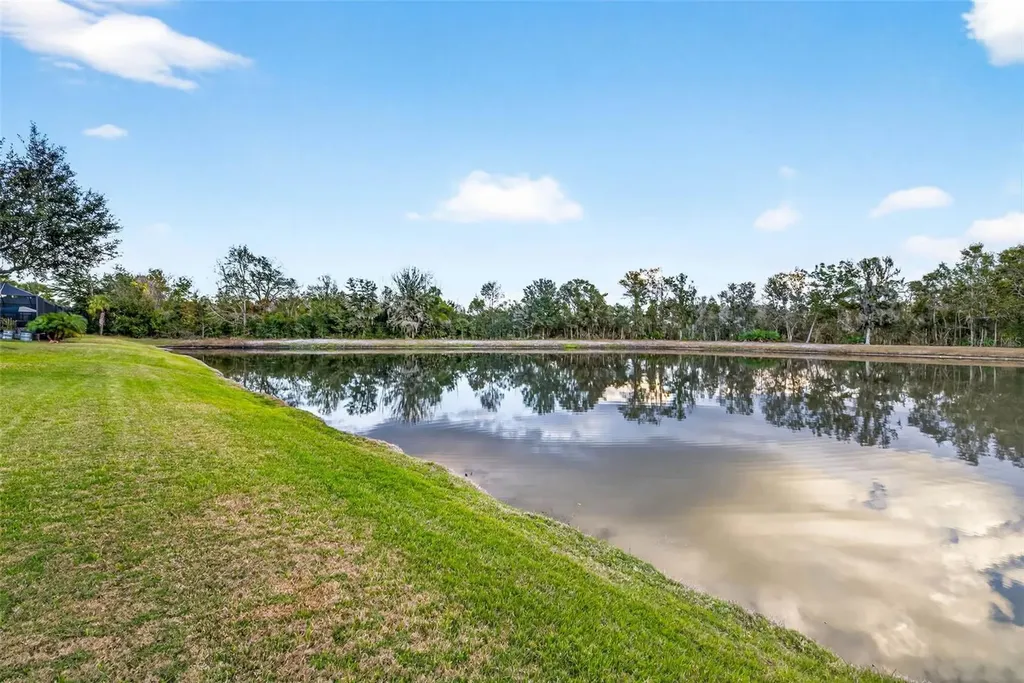 27020 Evergreen Chase Drive Wesley Chapel FL 33544