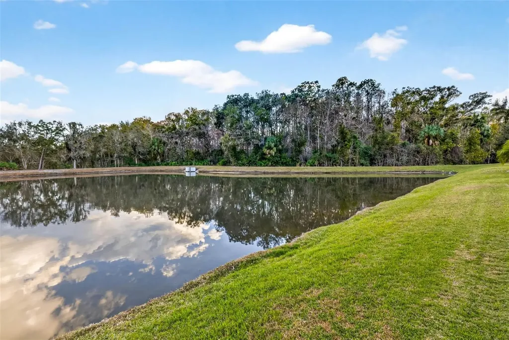 27020 Evergreen Chase Drive Wesley Chapel FL 33544