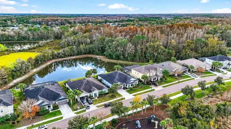 27020 Evergreen Chase Drive Wesley Chapel FL 33544