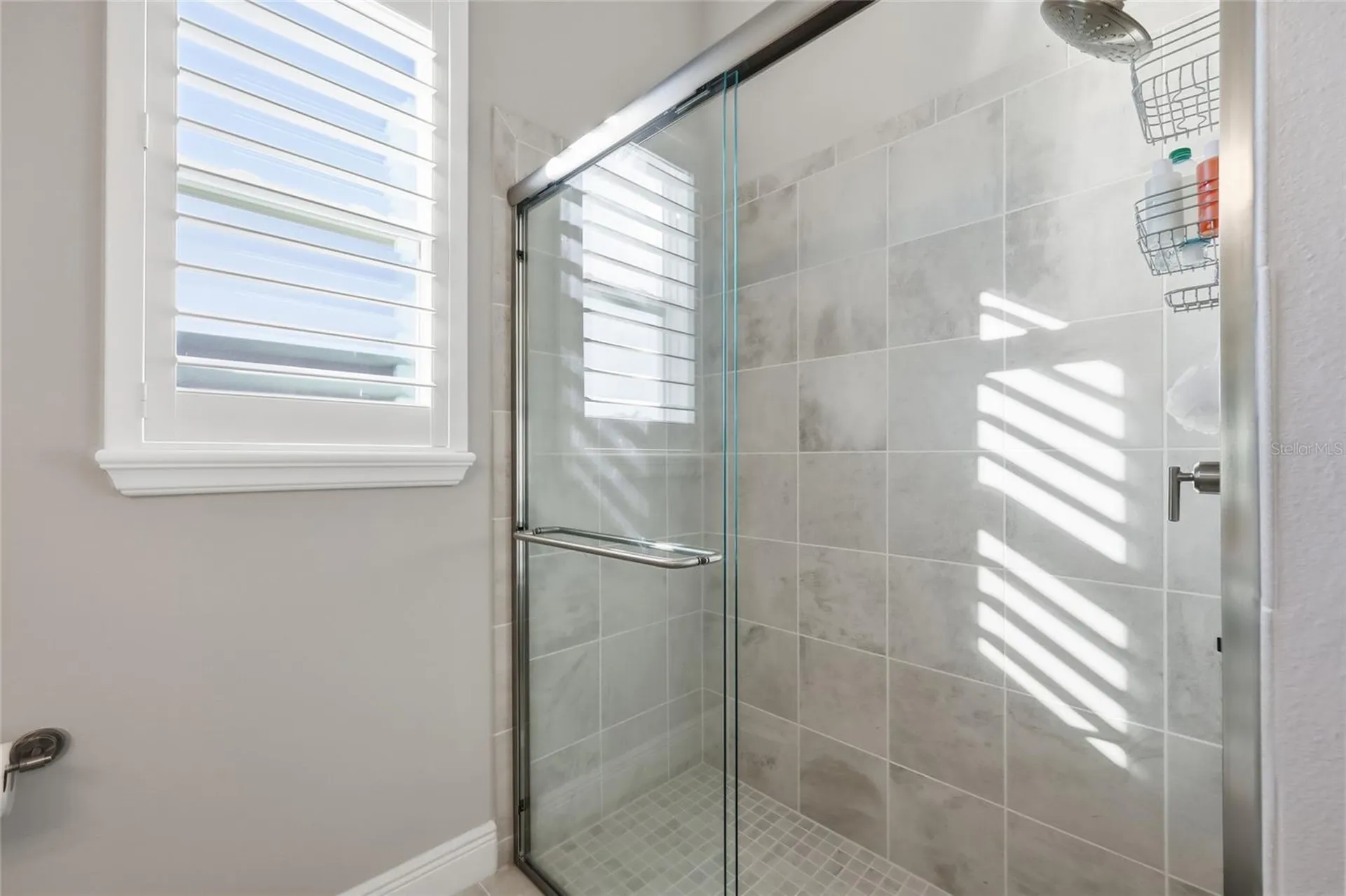 2154 Wallingford Loop Mount Dora FL 32757