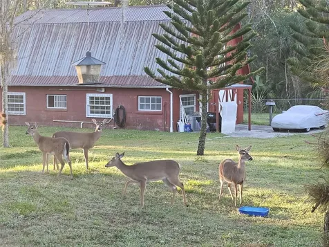 Orlando FL 32828