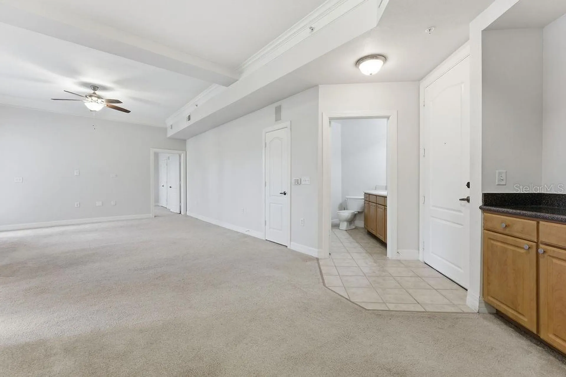 501 Mirasol Circle Celebration FL 34747