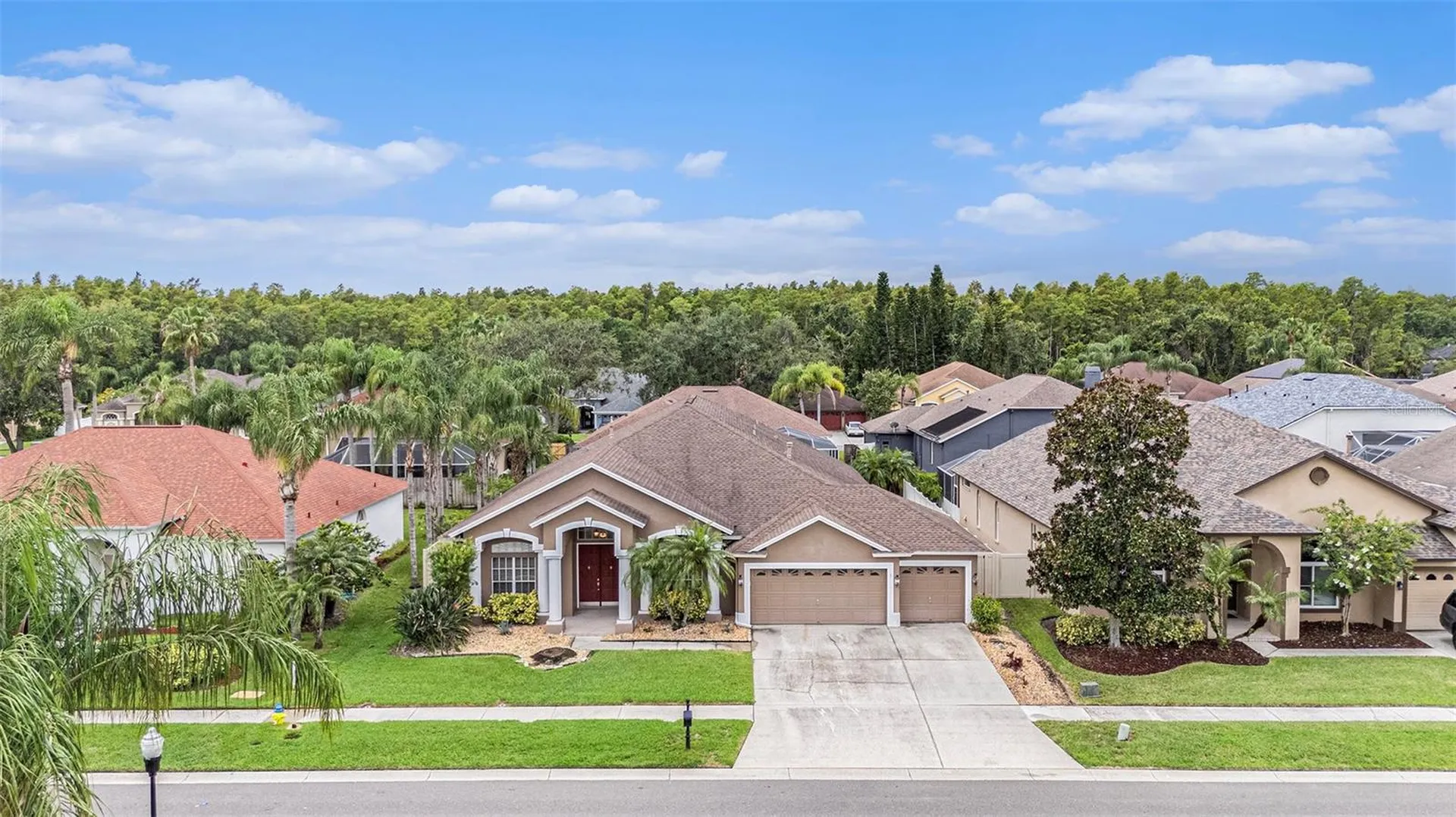 10019 Oxford Chapel Drive Tampa FL 33647