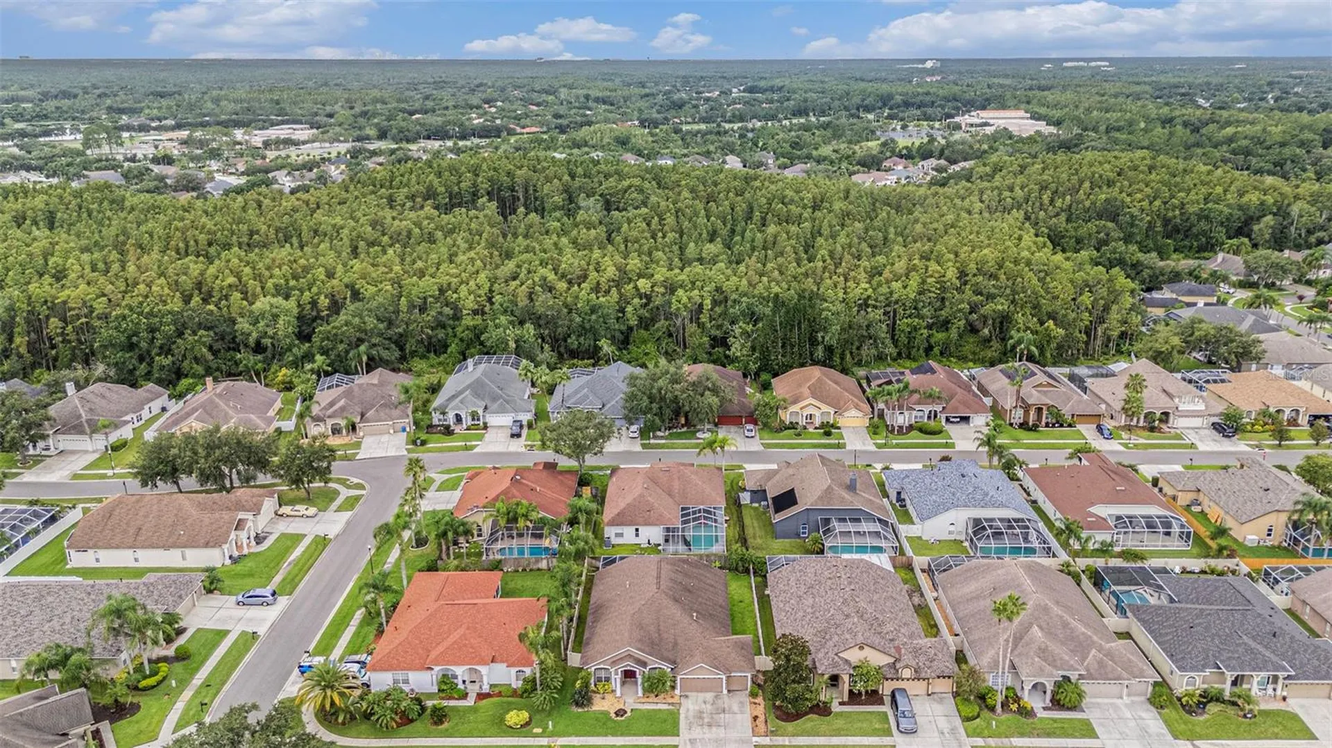 10019 Oxford Chapel Drive Tampa FL 33647