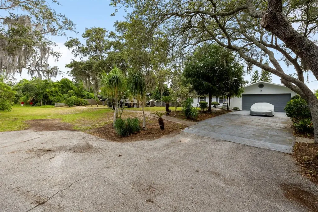 818 Eunice Drive Tarpon Springs FL 34689