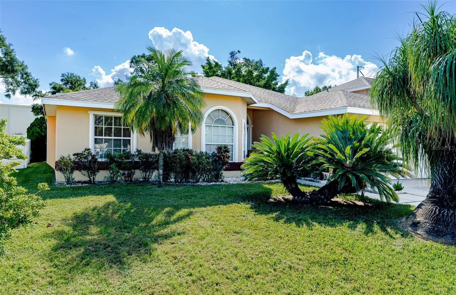 775 Wildflower Drive Palm Harbor FL 34683