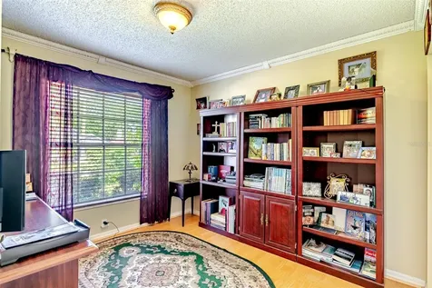 775 Wildflower Drive Palm Harbor FL 34683