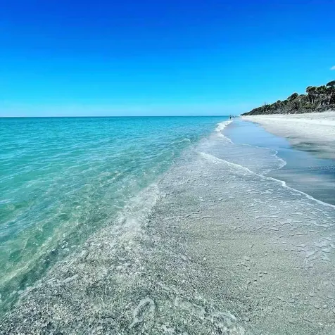 425 Cerromar Terrace Venice FL 34293