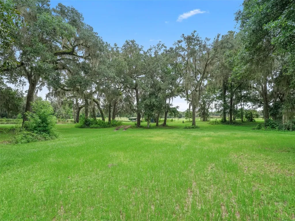 12651 W Highway 318 Williston FL 32696