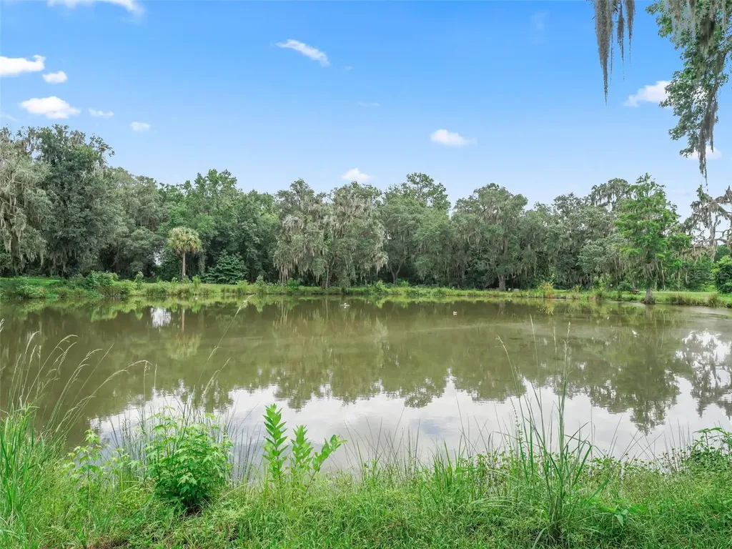 12651 W Highway 318 Williston FL 32696