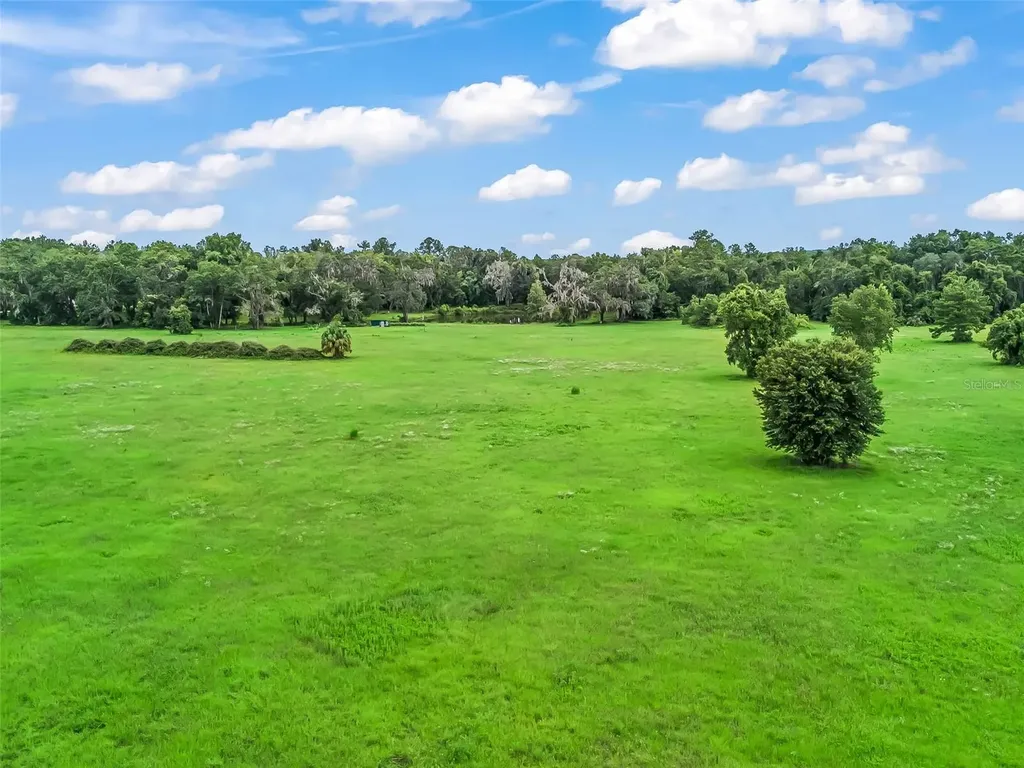 12651 W Highway 318 Williston FL 32696