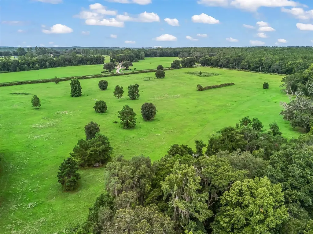 12651 W Highway 318 Williston FL 32696