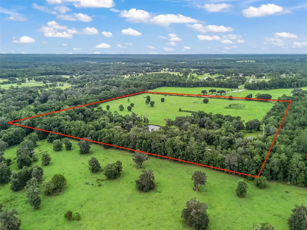 12651 W Highway 318 Williston FL 32696