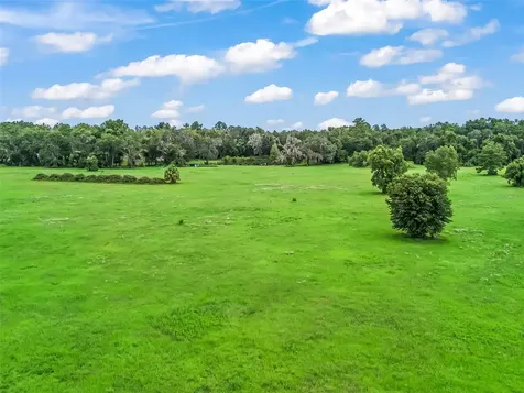 12651 W Highway 318 Williston FL 32696