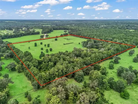 12651 W Highway 318 Williston FL 32696