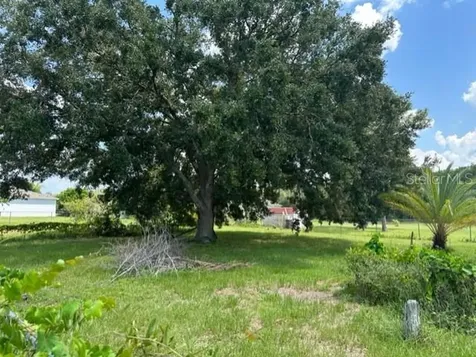 558 Maricopa Drive Kissimmee FL 34758