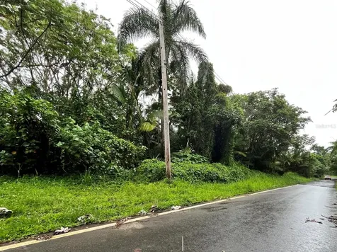 186 NE Guzman Arriba Rio Grande PR 00745