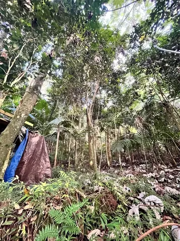186 NE Guzman Arriba Rio Grande PR 00745