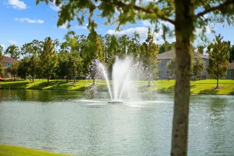 1073 Vinsetta Circle Winter Garden FL 34787
