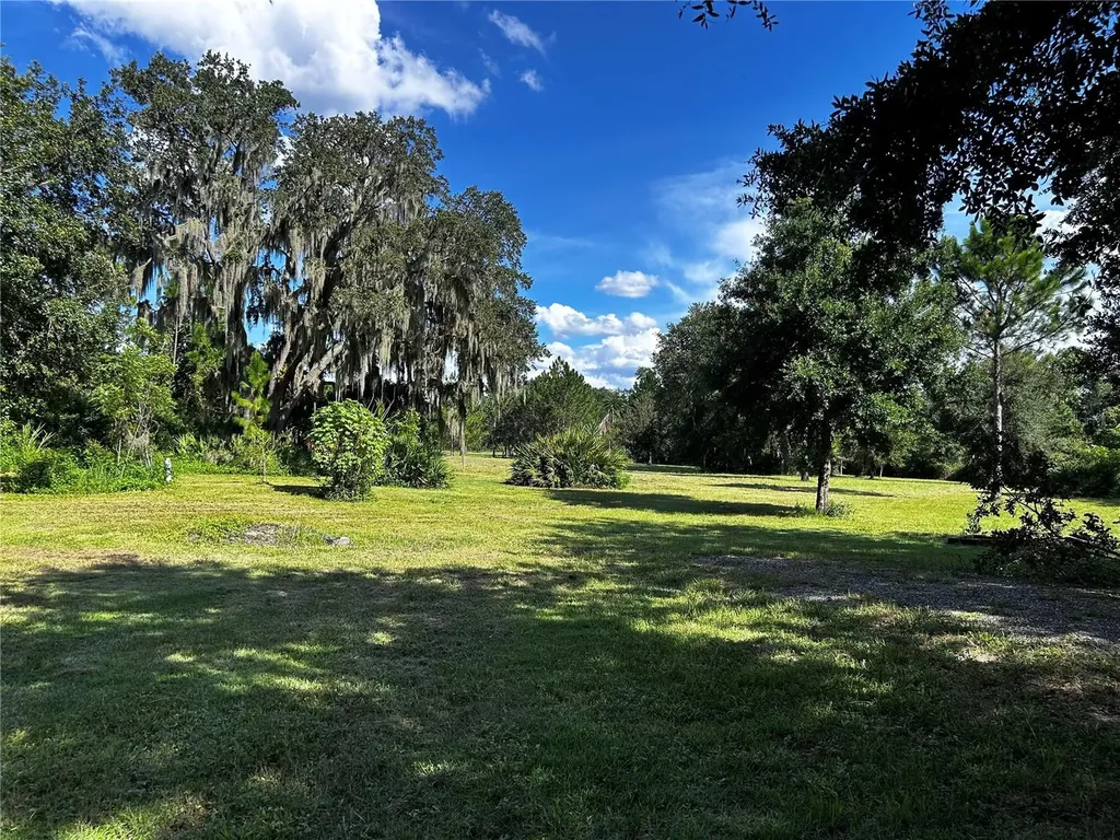 15401 Co Road 450 Umatilla FL 32784