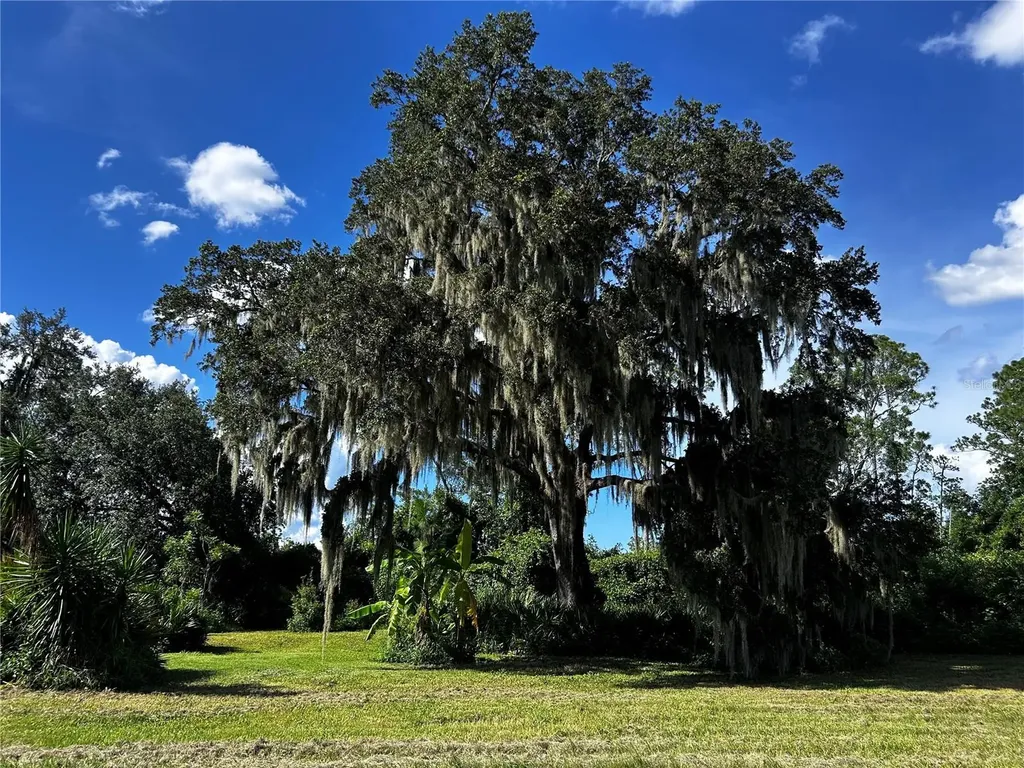 15401 Co Road 450 Umatilla FL 32784