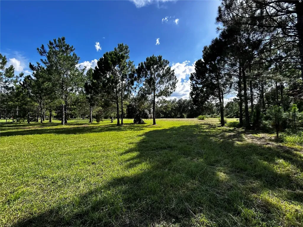 15401 Co Road 450 Umatilla FL 32784