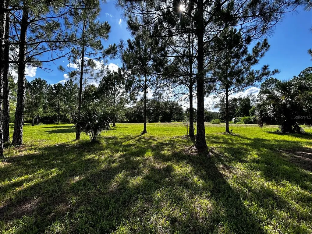 15401 Co Road 450 Umatilla FL 32784