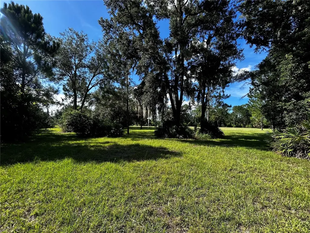 15401 Co Road 450 Umatilla FL 32784