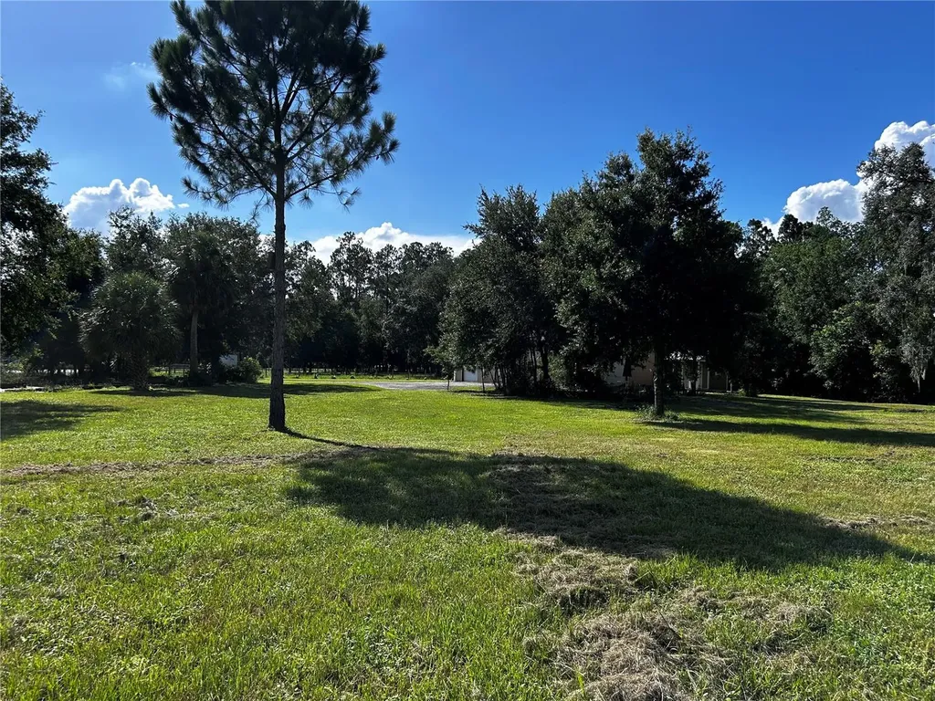15401 Co Road 450 Umatilla FL 32784