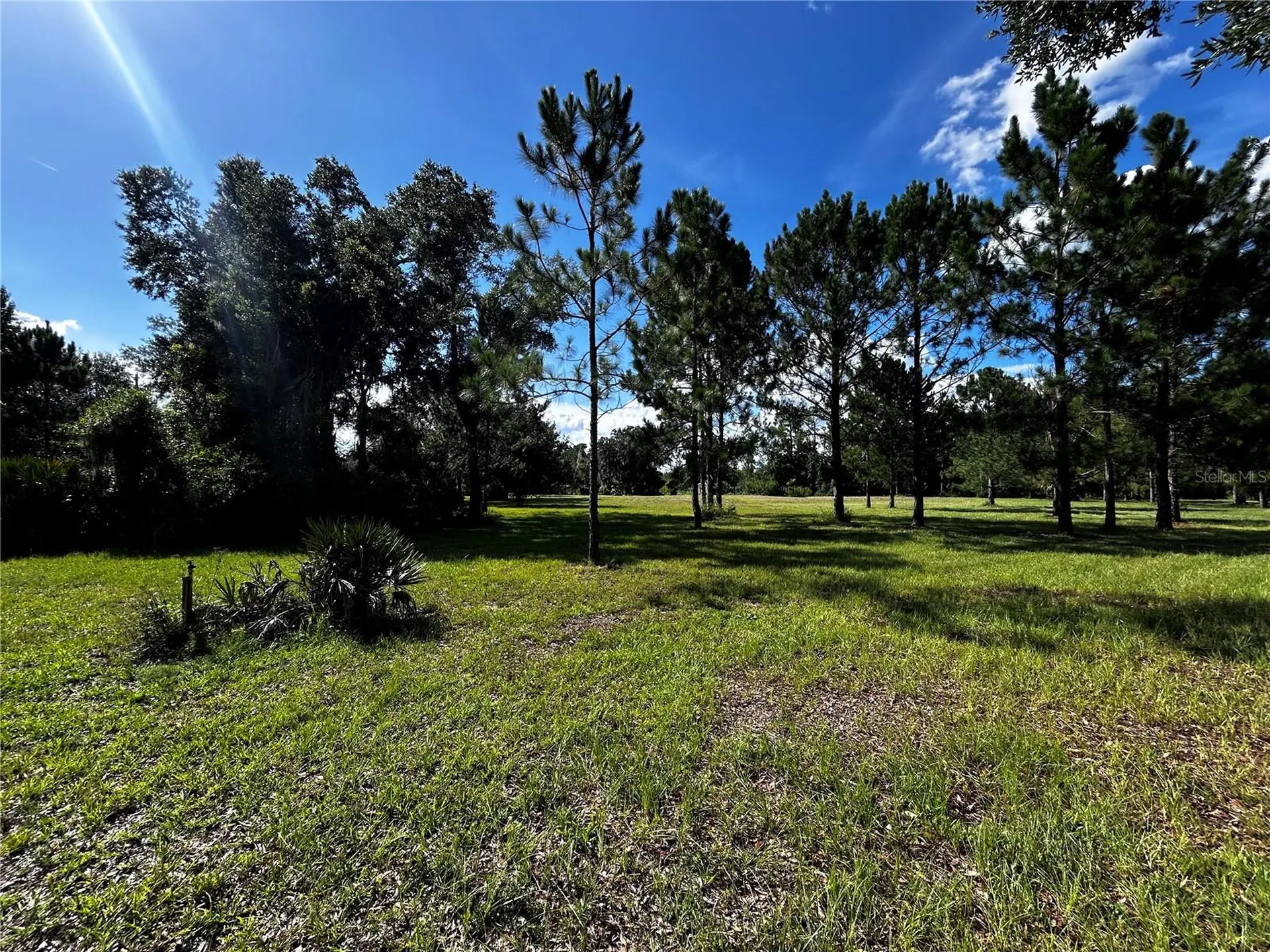 15401 Co Road 450 Umatilla FL 32784