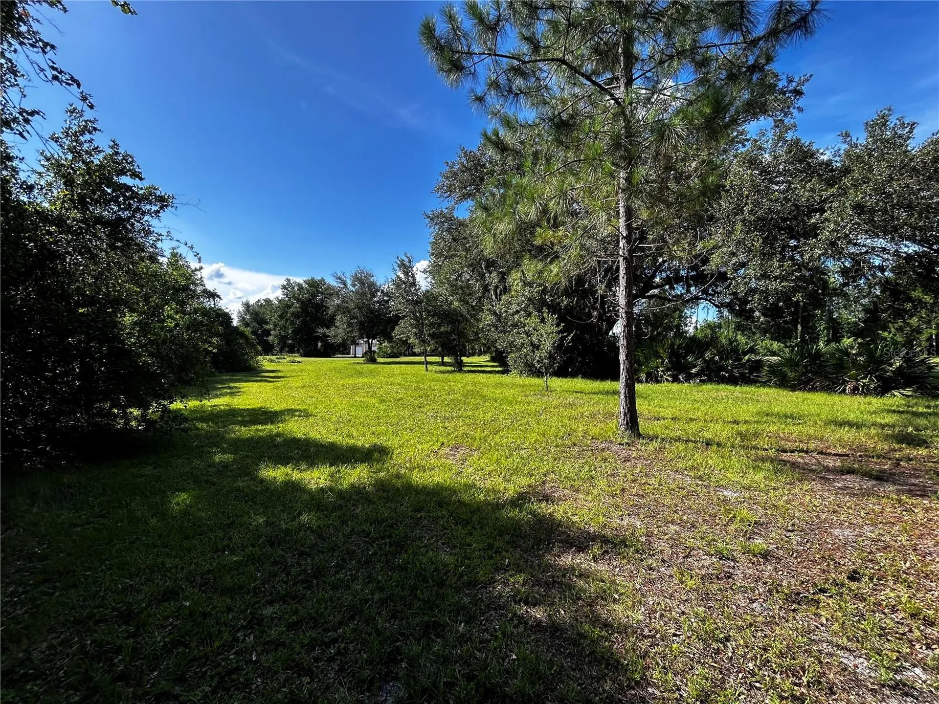 15401 Co Road 450 Umatilla FL 32784