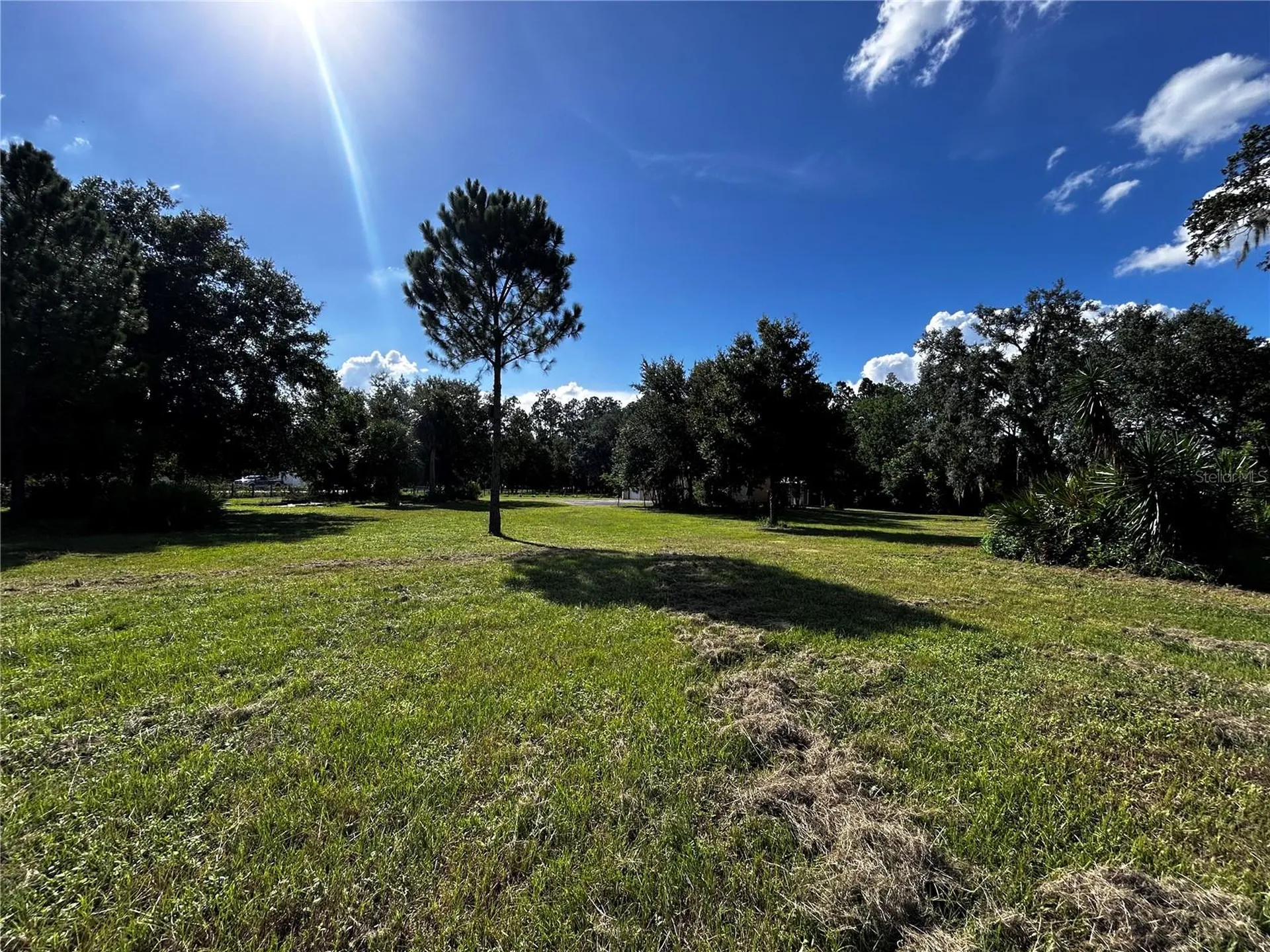 15401 Co Road 450 Umatilla FL 32784
