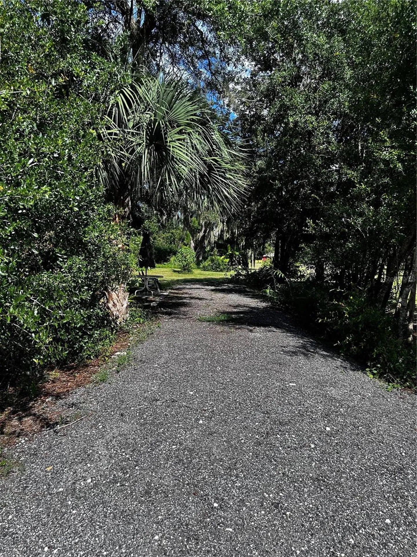 15401 Co Road 450 Umatilla FL 32784