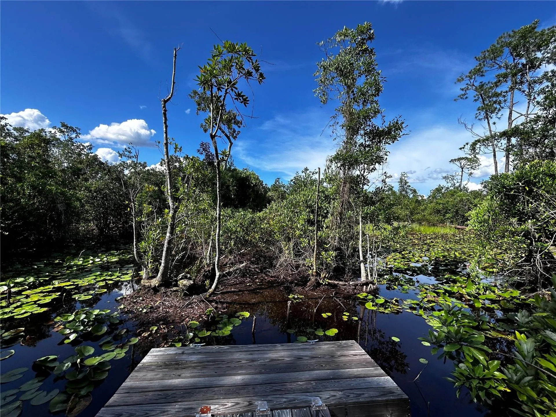 15401 Co Road 450 Umatilla FL 32784