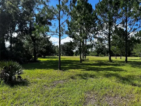 15401 Co Road 450 Umatilla FL 32784