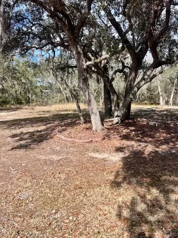 8077 Lake Hatchineha Road Haines City FL 33844