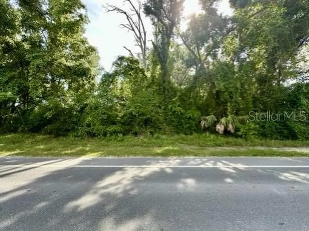 S Main Street Bell FL 32619