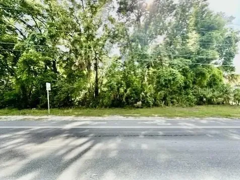 S Main Street Bell FL 32619