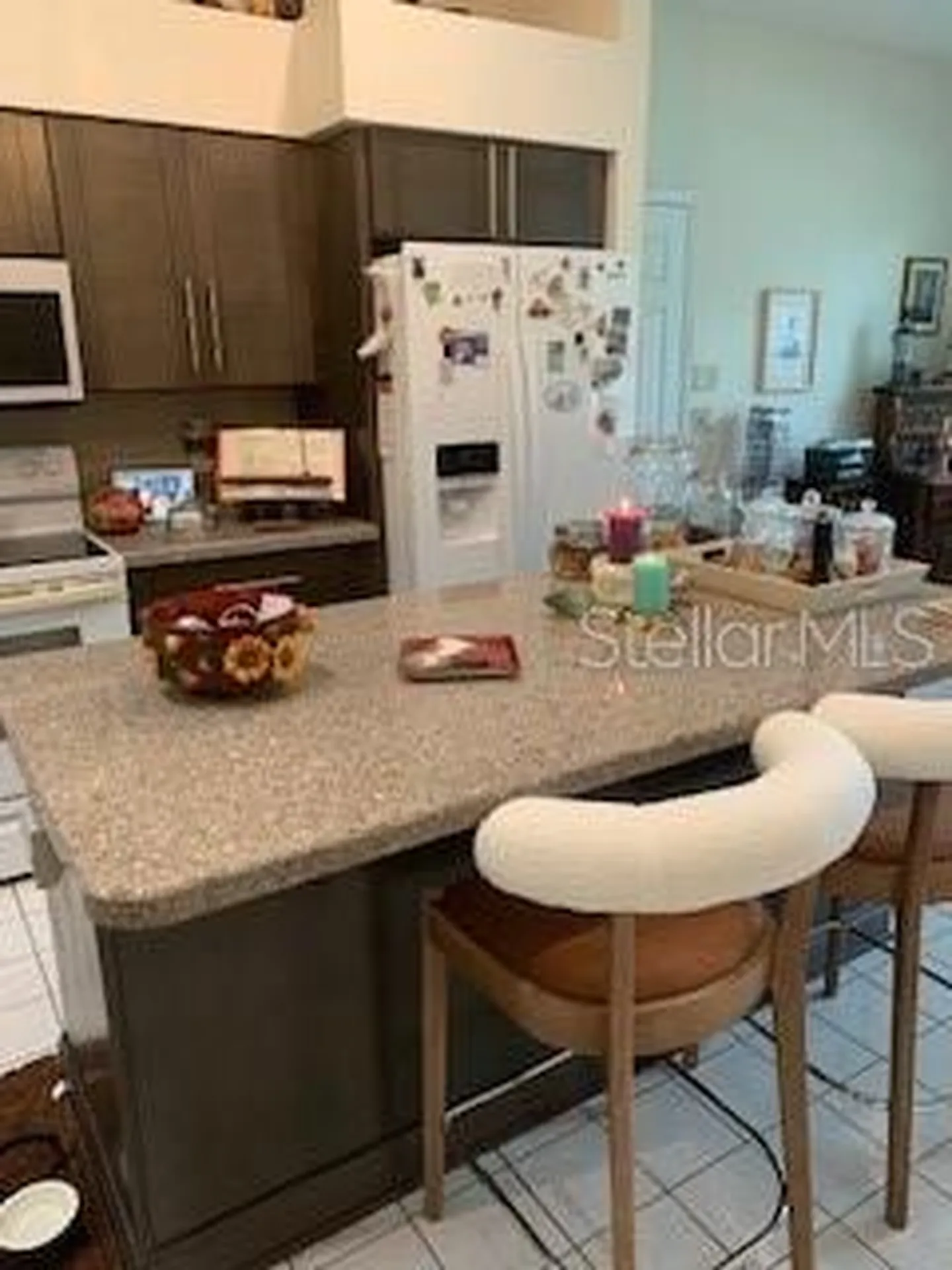8965 SW 192nd Court Road Dunnellon FL 34432