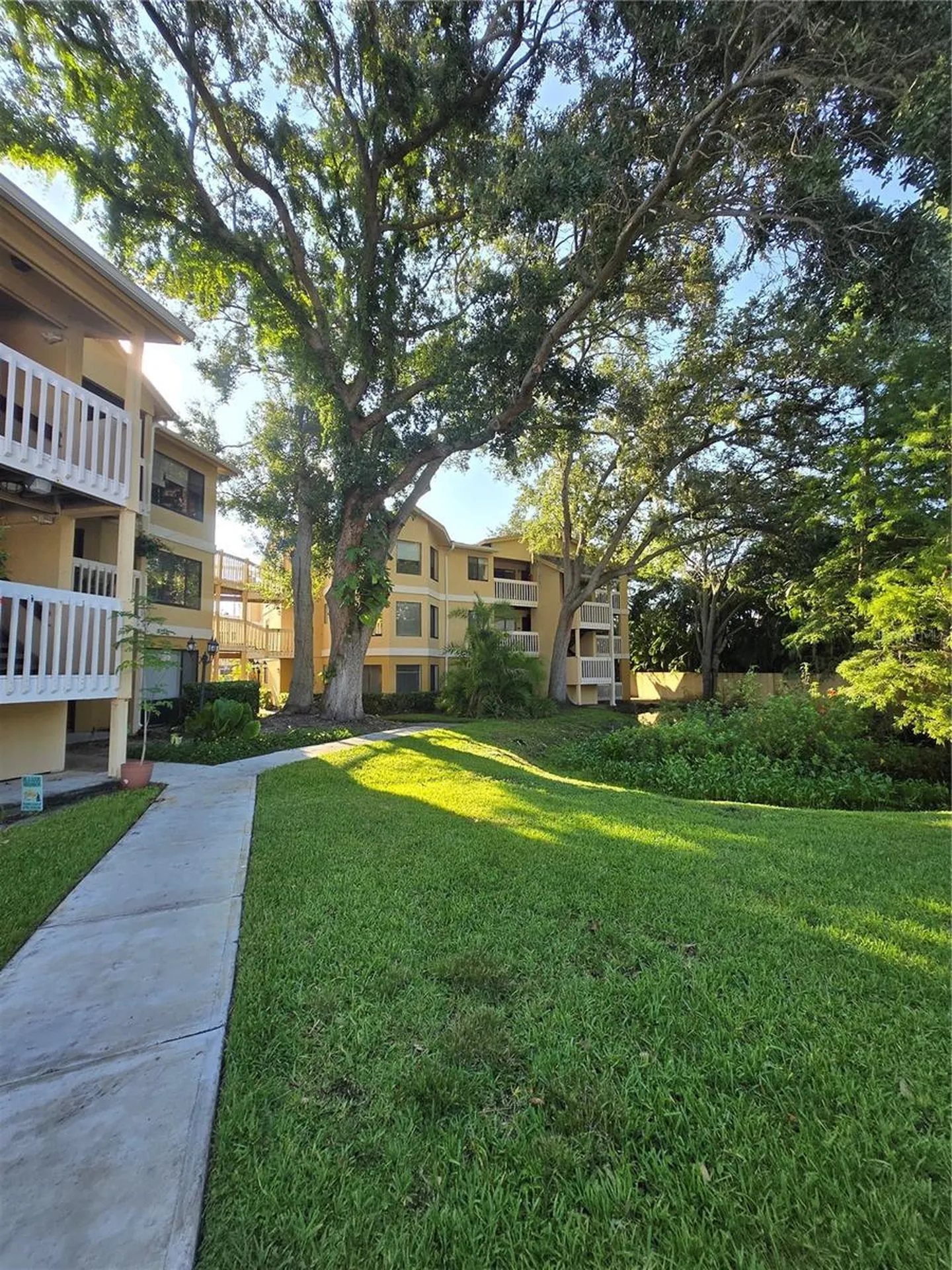 1550 S Belcher Road Clearwater FL 33764