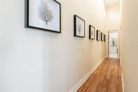 4703 Dolphin Cay Lane S St Petersburg FL 33711