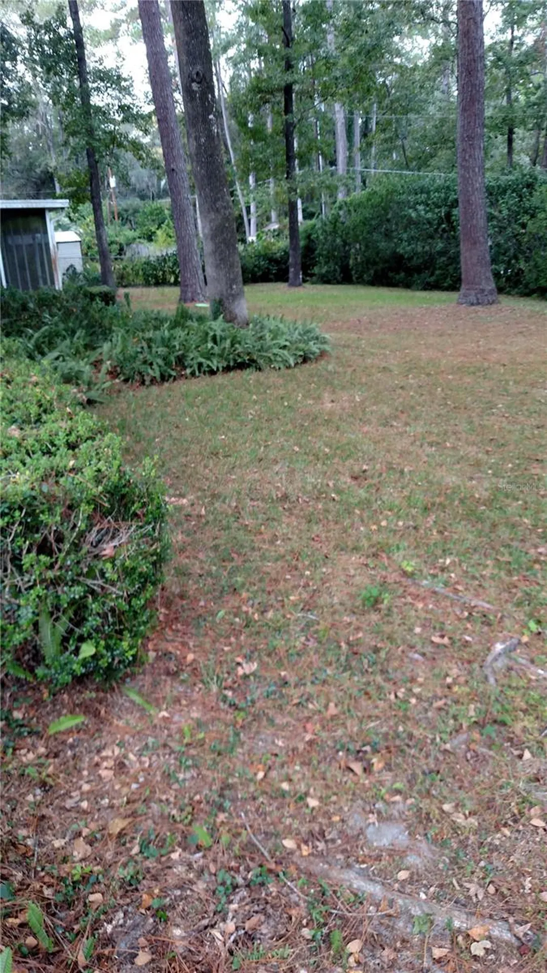 9230 NW 9th Avenue Gainesville FL 32606