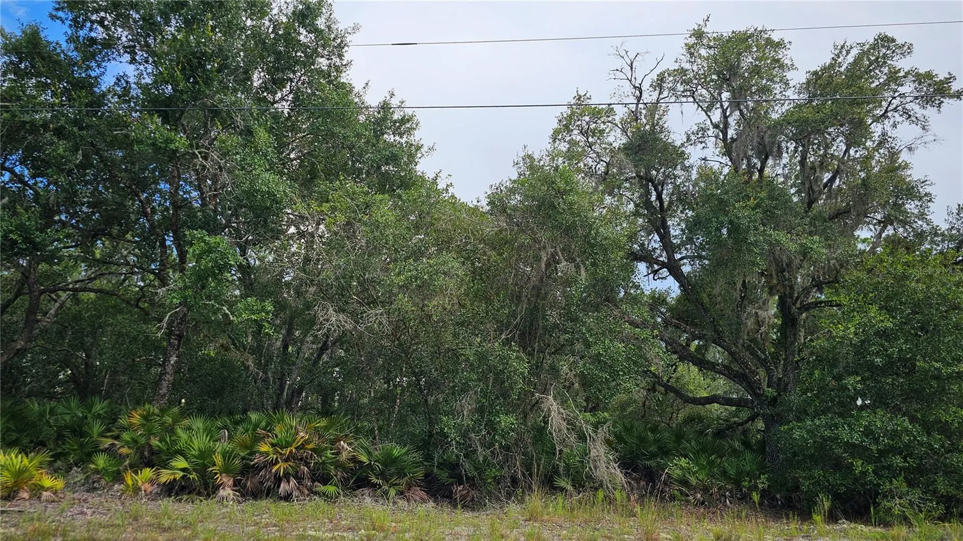 1005 Plumosa Drive Indian Lake Estates FL 33855