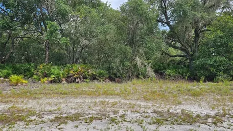 1005 Plumosa Drive Indian Lake Estates FL 33855