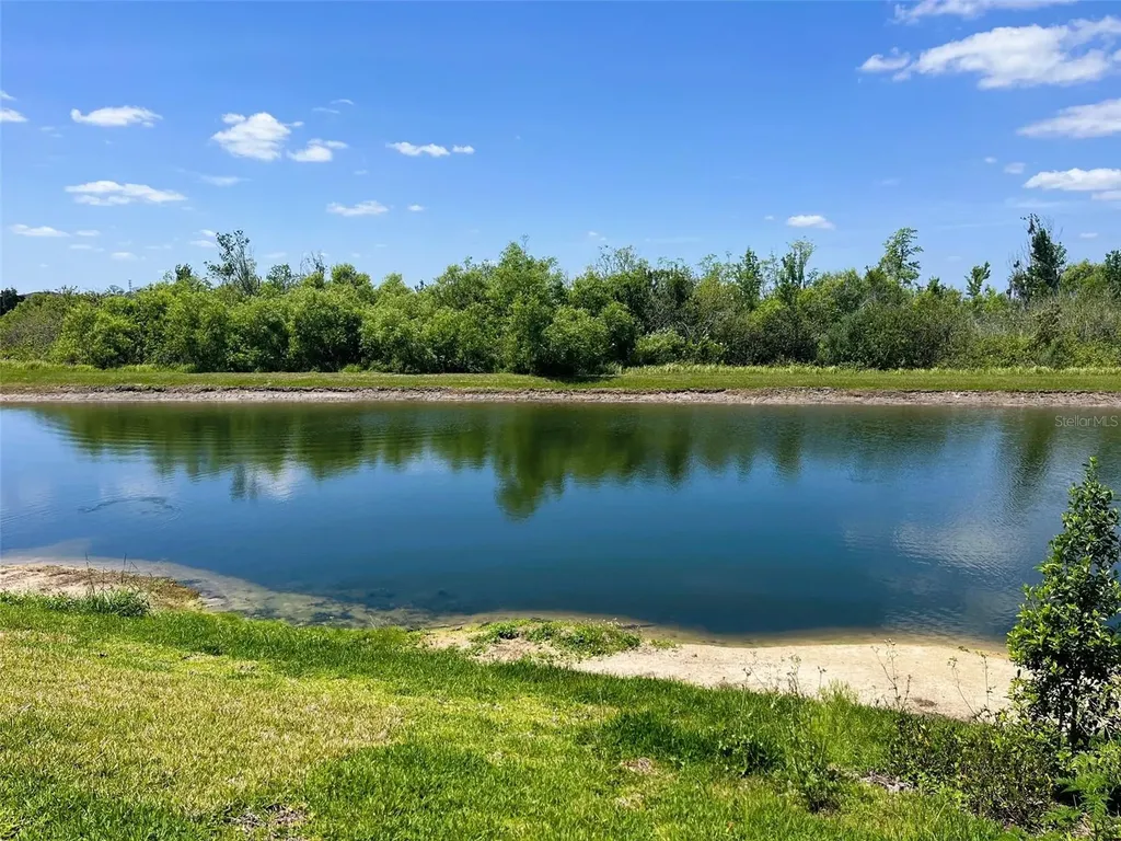 559 Waterfern Trail Drive Auburndale FL 33823