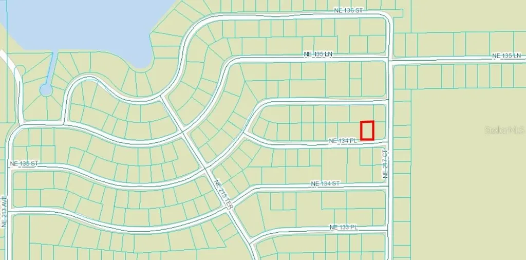 NE 134 Place Salt Springs FL 32134