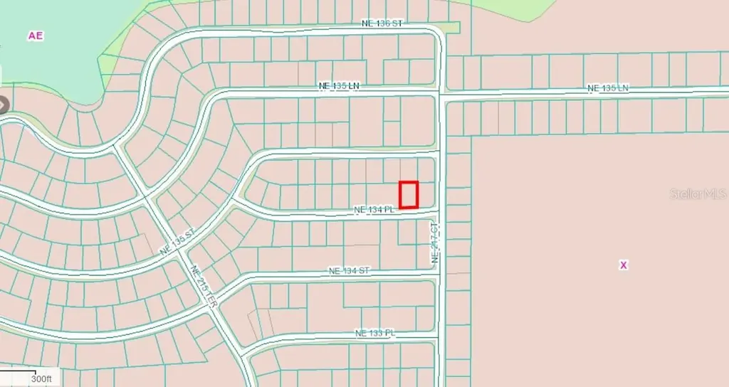 NE 134 Place Salt Springs FL 32134