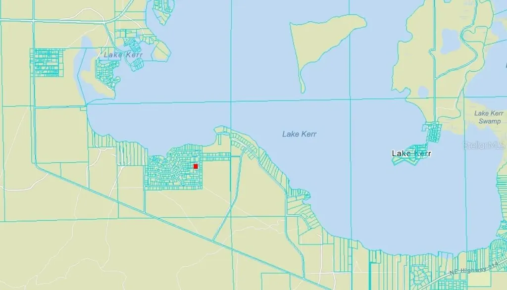 NE 134 Place Salt Springs FL 32134