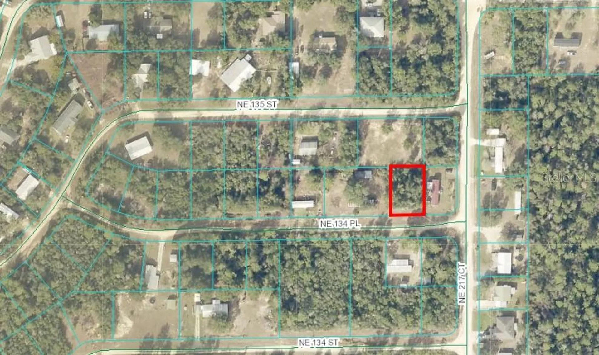 NE 134 Place Salt Springs FL 32134