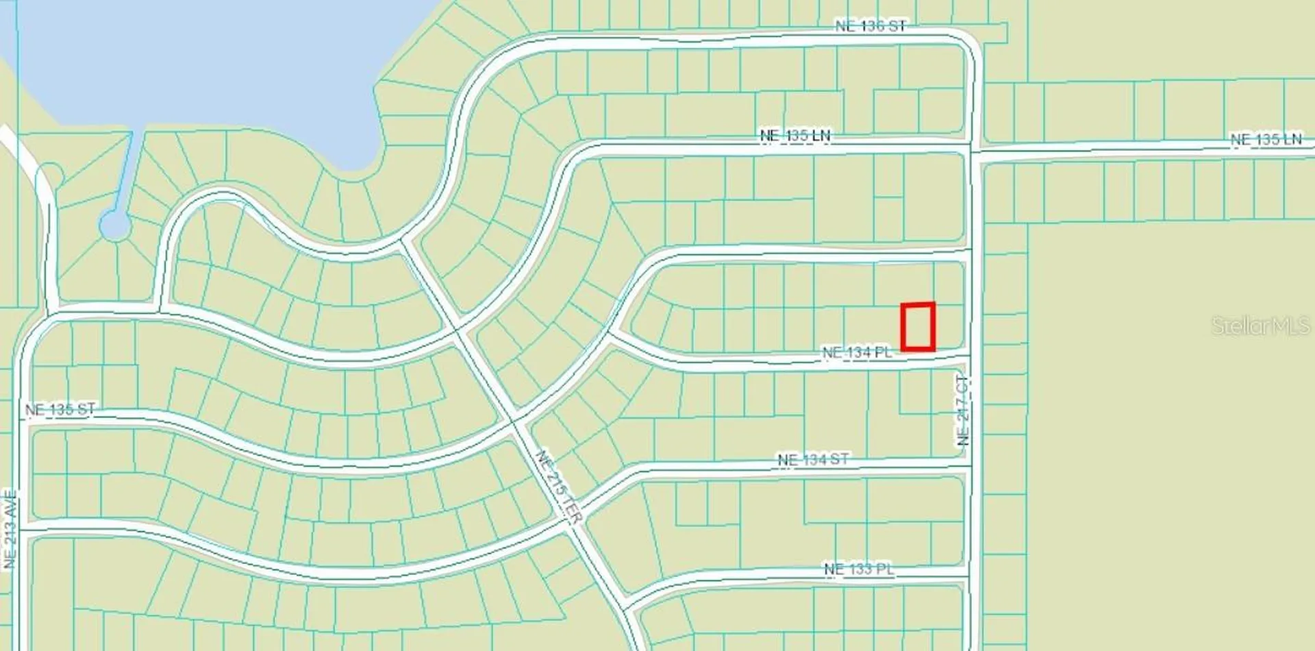 NE 134 Place Salt Springs FL 32134